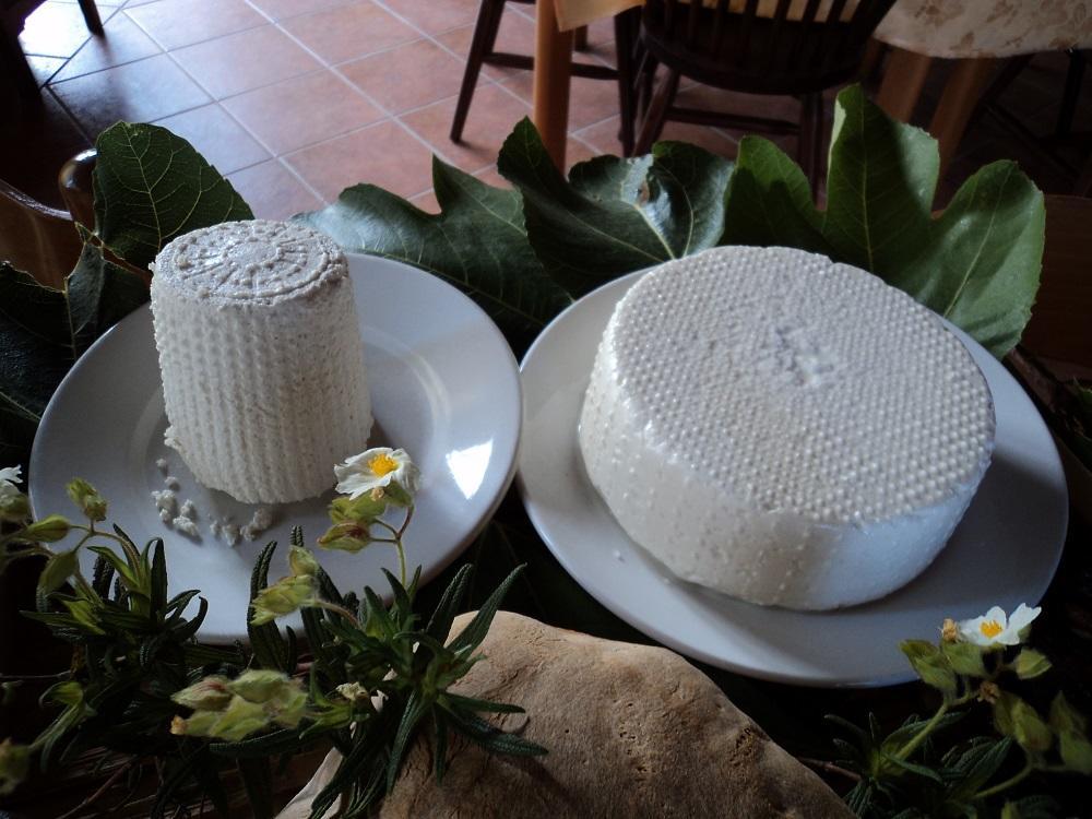 Agriturismo Aurella Ascea Dış mekan fotoğraf